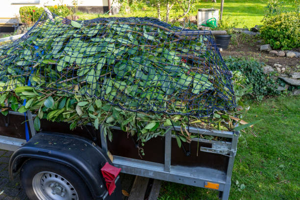 Best Moving and Downsizing Cleanouts  in Oakland City, IN